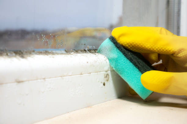 Best Residential Mold Removal  in Aspinwall, PA