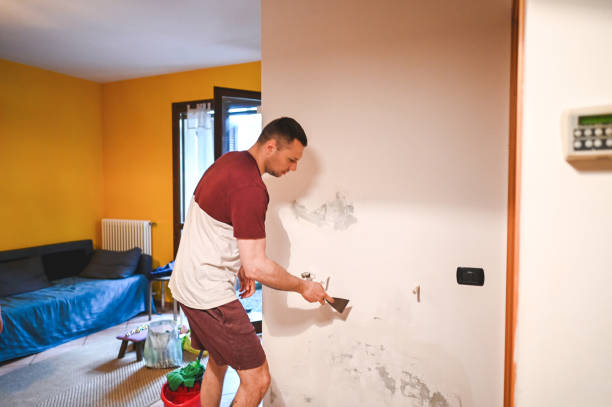 Best Mold Remediation Services  in Aspinwall, PA