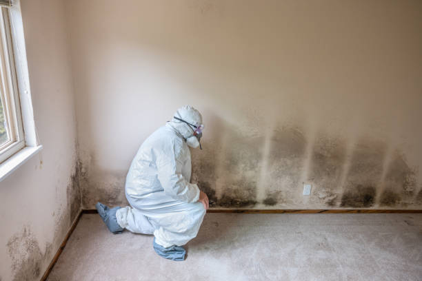 Best Mold Testing  in Aspinwall, PA