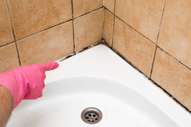 Best Mold Remediation  in Aspinwall, PA